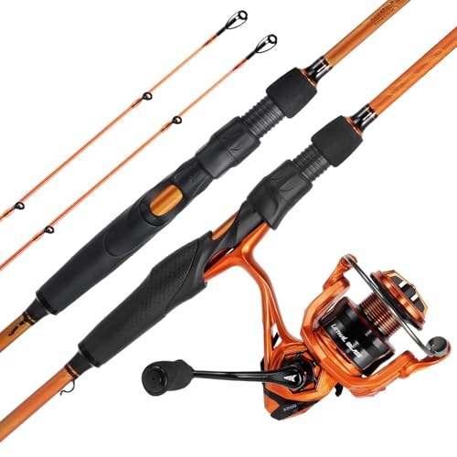 KastKing Lethal Blaze Twin-tip Fishing Rod and Reel Combo, Spinning & Baitcaster Combo, Flame Pattern Design, IM6 Graphite 2Pc Rod with Backup Tip Section, Stainless-Steel Guides, EVA Handle