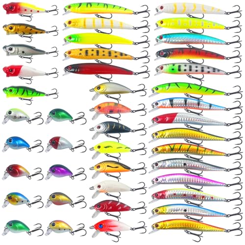 FREE FISHER 43Pcs Fishing Lures Kit Minnow Popper Walleye Fishing Lure — Controls and everyday operation